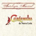 Cardenales De Nuevo León - Belleza De Cantina