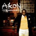 Akon - I Wanna Love You (Album Version Explicit)