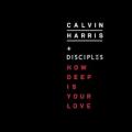 Calvin Harris - How Deep Is Your Love - Extended Mix