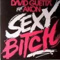 David Guetta - Sexy Bitch (feat. Akon) [Chuckie & Lil Jon Remix] [Edit]