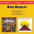 Bob Marley & The Wailers - Ambush in the Night