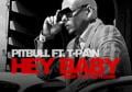 Pitbull - Hey Baby (Drop It To The Floor) - Radio Edit