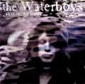 Waterboys - The Whole of the Moon