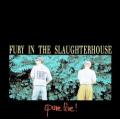 Fury in the Slaughterhouse - Won't Forget These Days