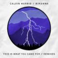 Calvin Harris - This Is What You Came For (feat. Rihanna) - Extended Mix