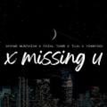 Dayang Nurfaizah - X Missing U