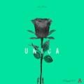 Ozuna - Dura Remix - Positivo - Te Bote Remix - Yin Yang - Unica - No Pare - El Problema - Y Los Mas Sonados