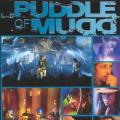 PUDDLE OF MUDD - Drift And Die