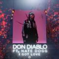 Now On Air: Don Diablo ft. Nate - I Got Love