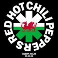 RED HOT CHILI PEPPERS - Fortune Faded