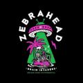 Zebrahead - We're Not Alright