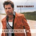 David Charvet - All I Want Is You