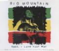 Big Mountain - Baby, I Love Your Way - Radio Mix