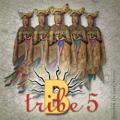 B-Tribe - Demasiado