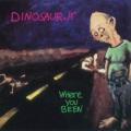 Dinosaur Jr - Out There