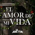 La Adictiva Banda San Jose de Mesillas - El Amor de Mi Vida