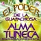 Marimba Orquesta Alma Tuneca - Jala Jala