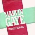 Studio Rio & Marvin Gaye - Sexual Healing