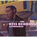 Otis Redding - I've Been Loving You Too Long (To Stop Now)