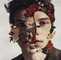 Shawn Mendes - Where Were You In The Morning?