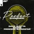 David Guetta,Princess Superstar,DJ Mason - Perfect (Exceeder)