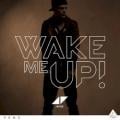 Aloe Blacc - Wake Me Up - Acoustic
