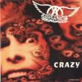 Aerosmith - Crazy (acoustic)