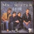 Mr. Mister - Is It Love (dance mix)