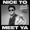 NICE TO MEET YA - Nice To Meet Ya