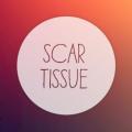 N'TO - Scar Tissue
