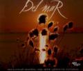 Sunsea - Light The Fire - DJ Shah's Ambient Soul Mix