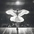 The ballet girl - The Ballet Girl