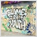 Blink-182 - Blame It On My Youth