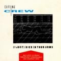 Countin Crew - (I Just) Died in Your Arms