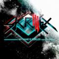 Skrillex - My Name Is Skrillex (Skrillex Remix) - remix
