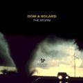 Dom & Roland - Storm