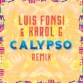 Luis Fonsi - Calypso - Remix