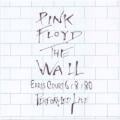 Pink Floyd - What Shall We Do Now