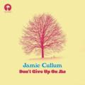 Jamie Cullum - Don't Give Up On Me