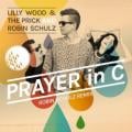 Lilly Wood and The Prick - Prayer in C - Robin Schulz Radio Edit