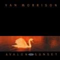 Van Morrison & Joey DeFrancesco - Have I Told You Lately