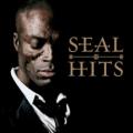 SEAL - A Change Is Gonna Come