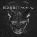 Disclosure Ft. The Weeknd - Nocturnal