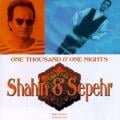 Shahin & Sepehr - Feeling Good Love