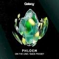 Phloem - Back Pocket