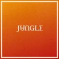 Jungle - Us Against the World