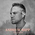 ANDREW RIPP - Roses