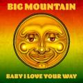 Big Mountain - Baby I Love Your Way (re‐record)