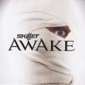 Skillet - One Day Too Late