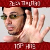 Zeca Baleiro - Telegrama